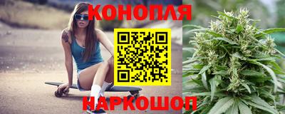 PSILOCYBIN Можайск
